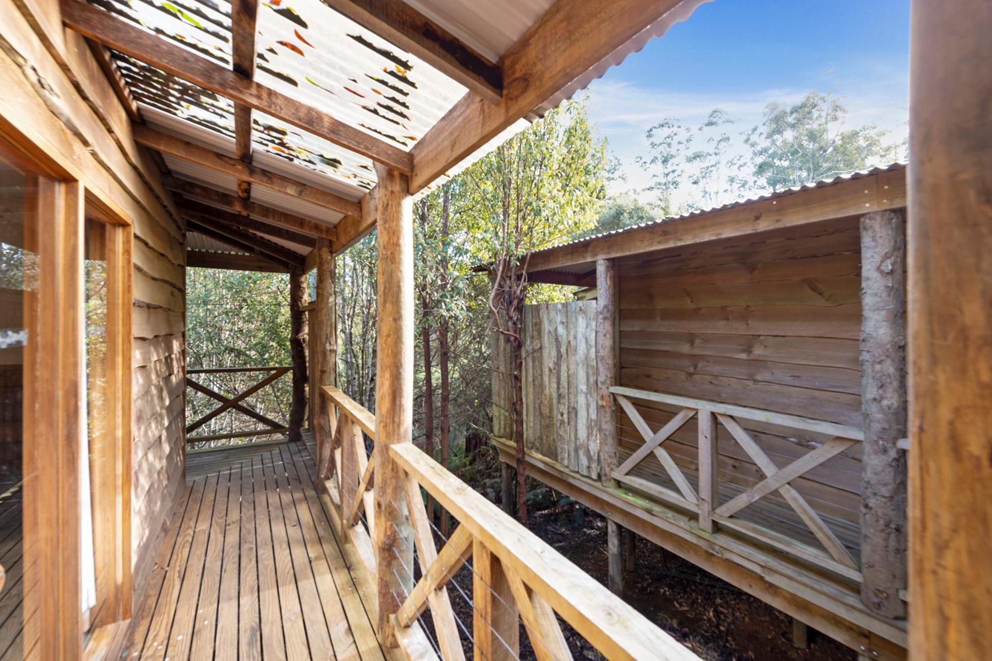 Cradle forest inn Moina Eksteriør bilde
