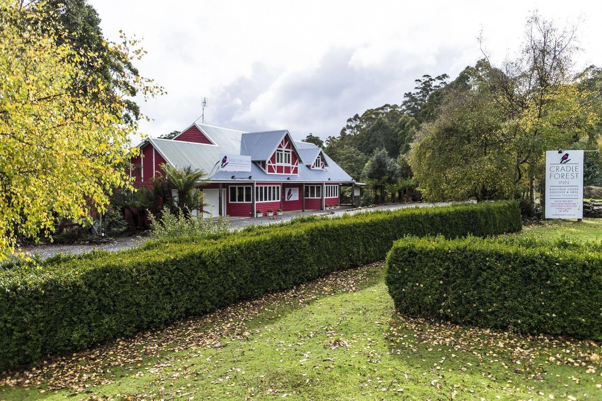 Cradle forest inn Moina Eksteriør bilde
